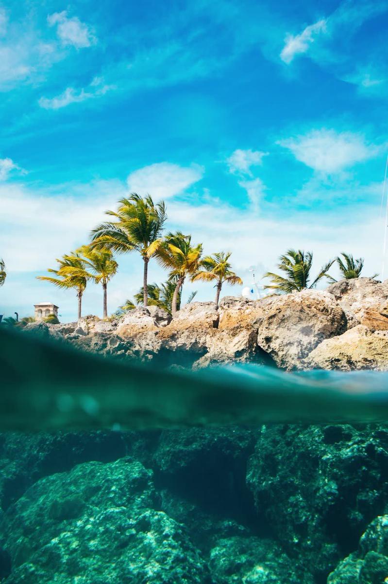 Clear Caribbean water above and below the surface